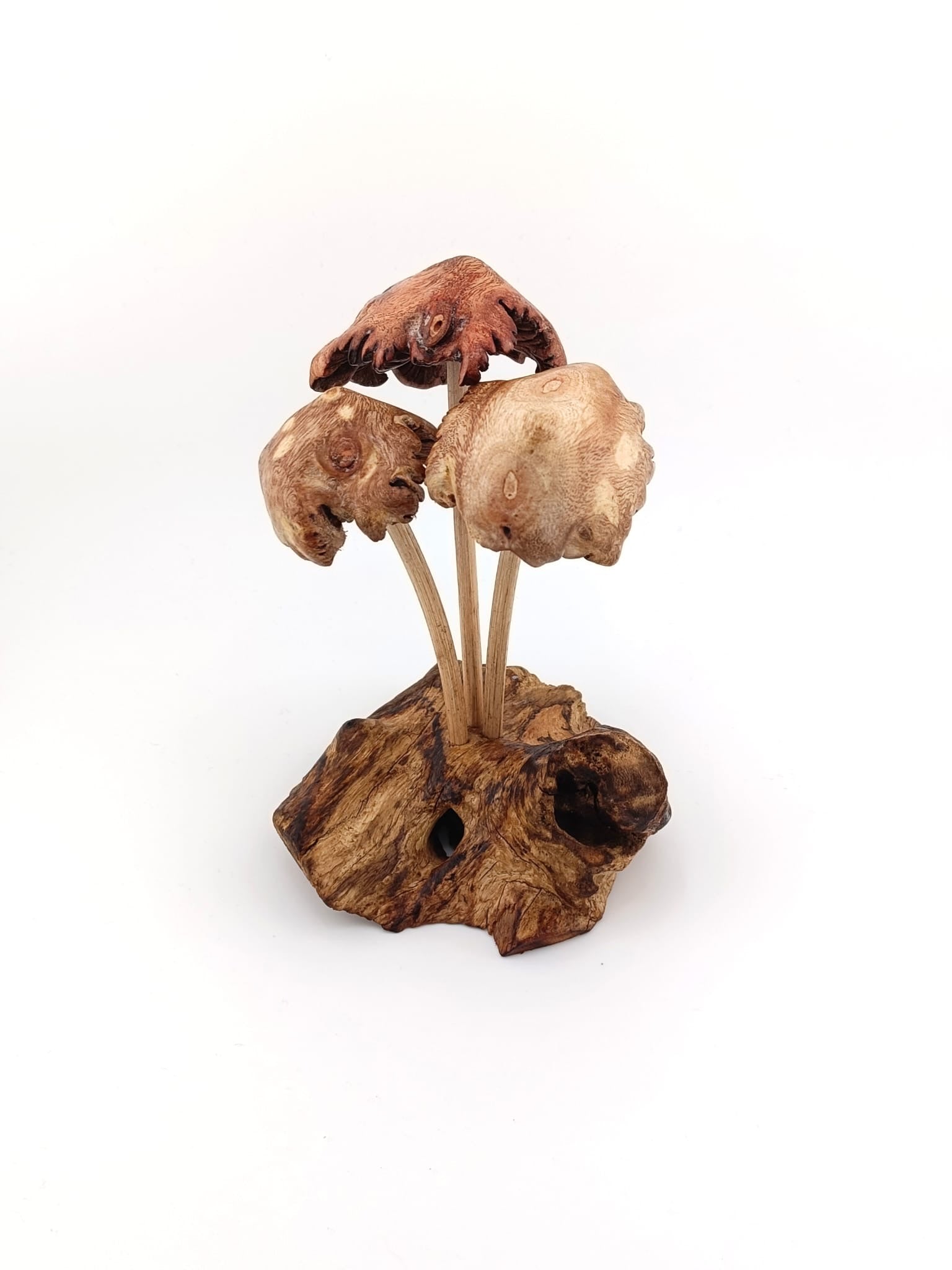 Hand-made Wooden Mushroom